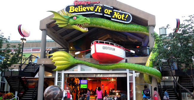 baltimore-sightseeing-tours-belive-it-or-not